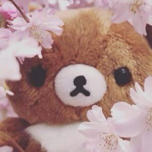 Meet your Posher, Leona